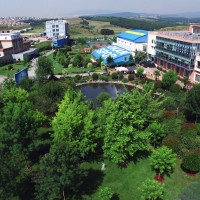IV - Campus Life