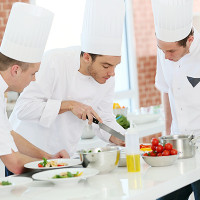 Gastronomy and Culinary Arts (English)