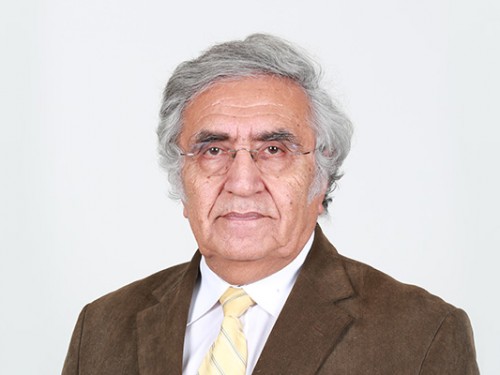 Ahmet Fahri Özok