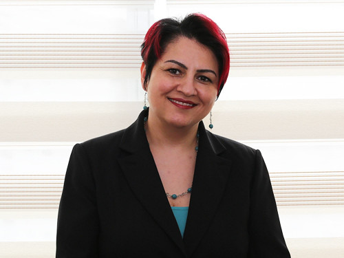 Arzu Arı Demirkaya