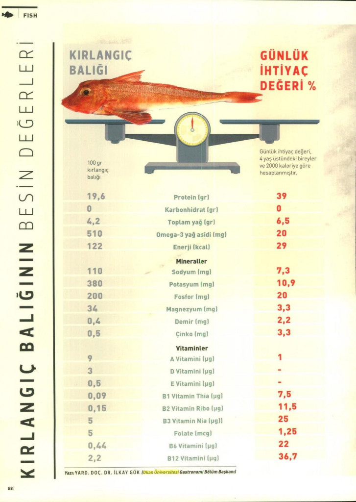 Beef&Fish – “Kırlangıç Balığını Besin Değerleri”