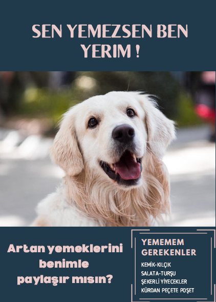 Hayvan Hakları Topluluğu