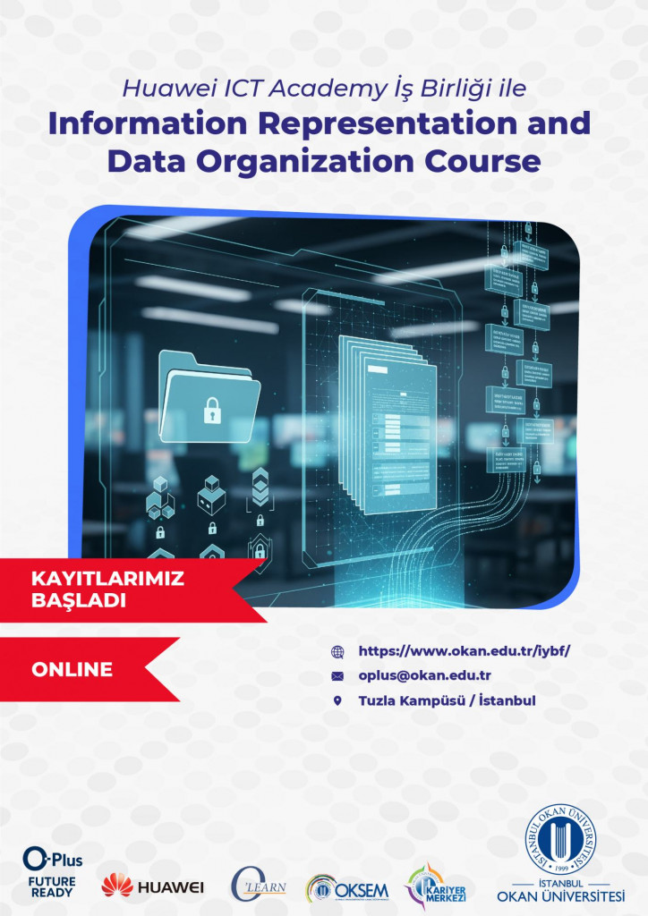 Information Representation and Data Organization Course