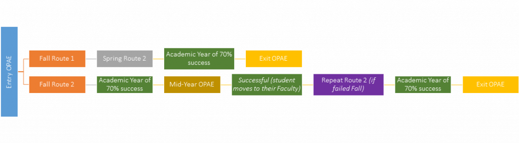 Preliminary Academic Course of English (PACE)