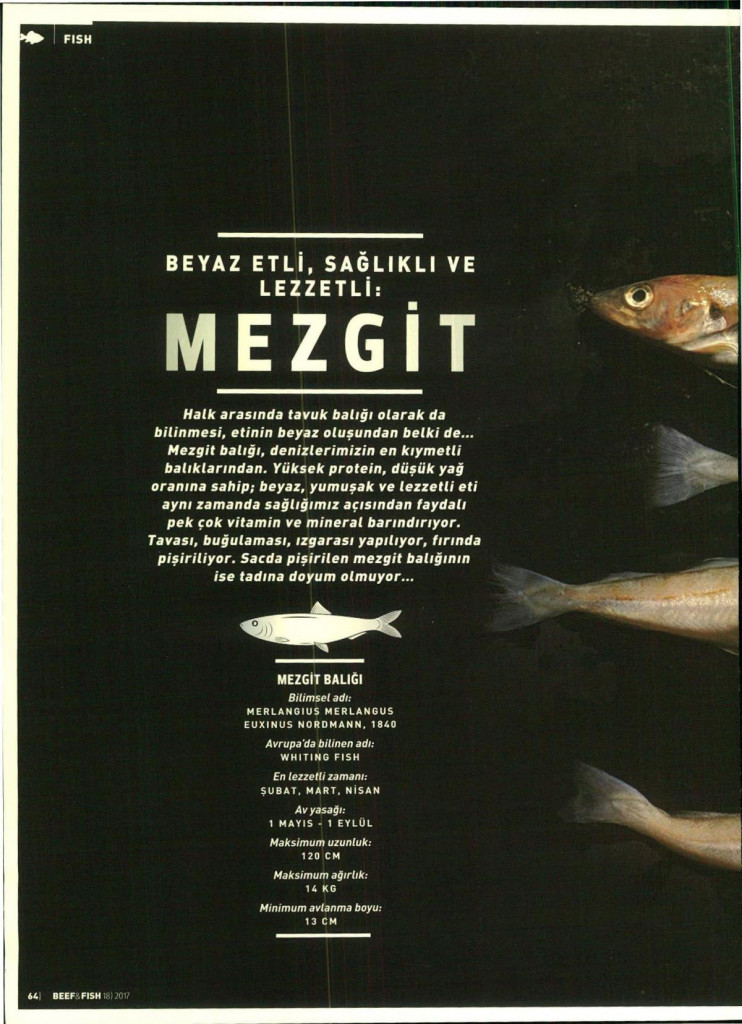 Basında Okan
